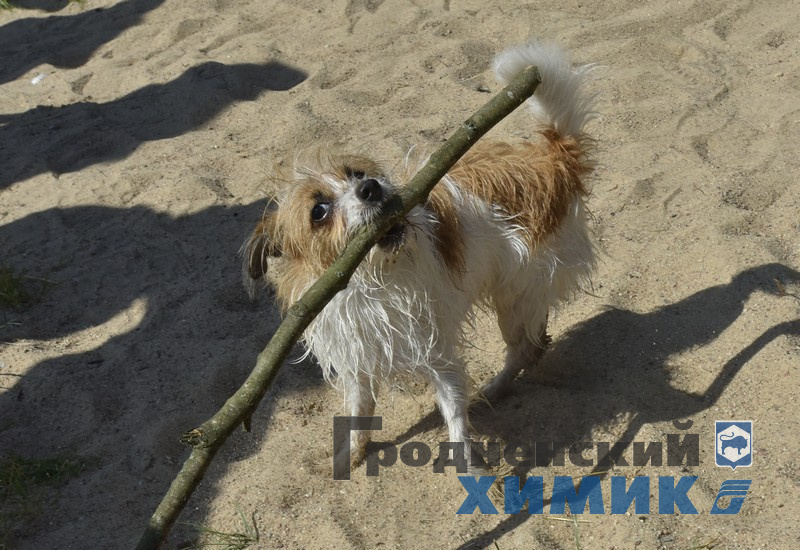 56768789890 (32).jpg